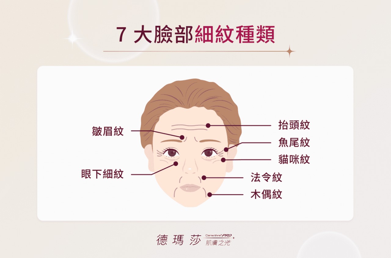 7 大臉部細紋種類