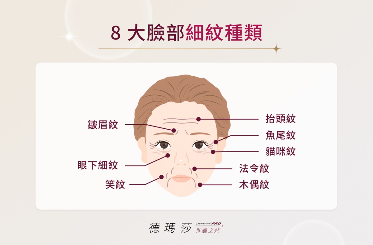 臉部細紋種類